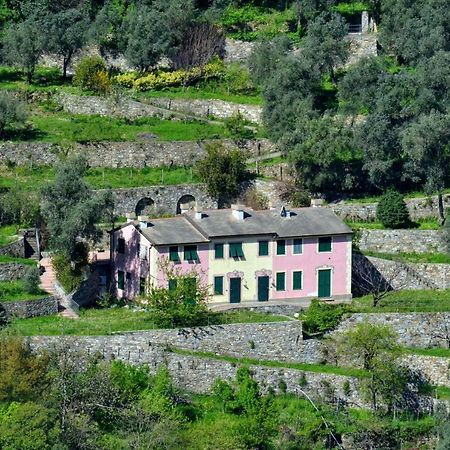 Villa Olivari - Apt La Lavanda 카모글리 외부 사진