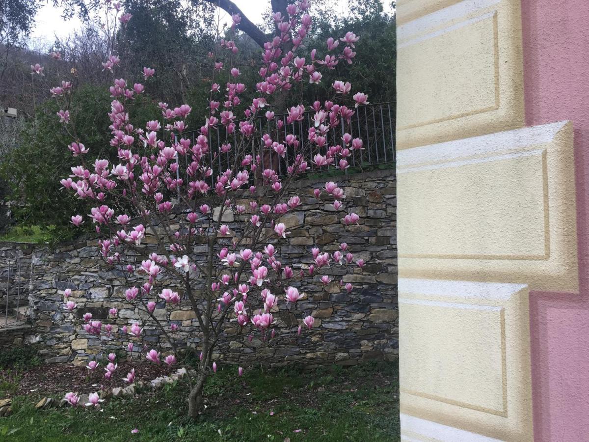 Villa Olivari - Apt La Lavanda 카모글리 외부 사진