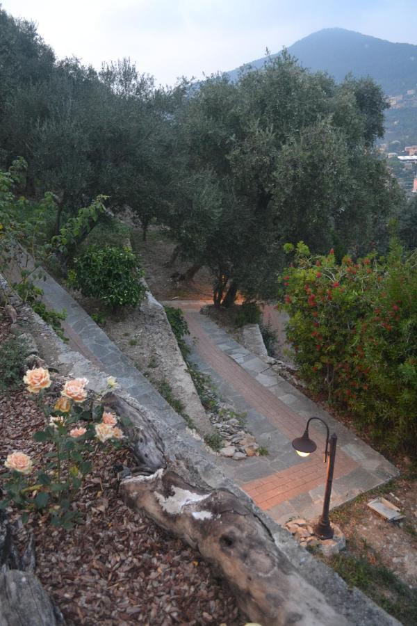 Villa Olivari - Apt La Lavanda 카모글리 외부 사진