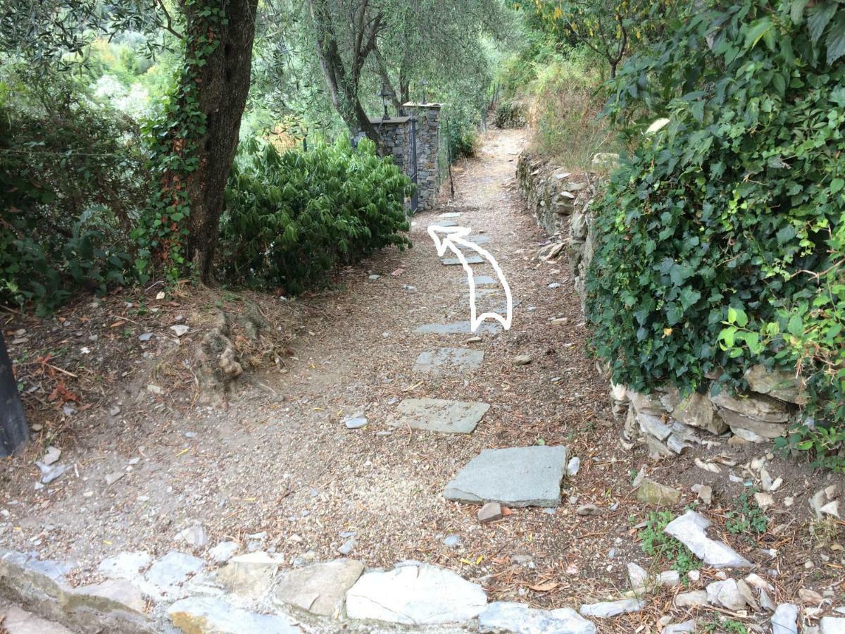 Villa Olivari - Apt La Lavanda 카모글리 외부 사진