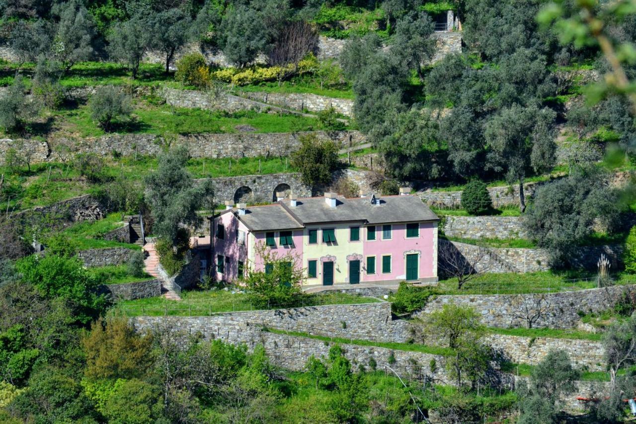 Villa Olivari - Apt La Lavanda 카모글리 외부 사진