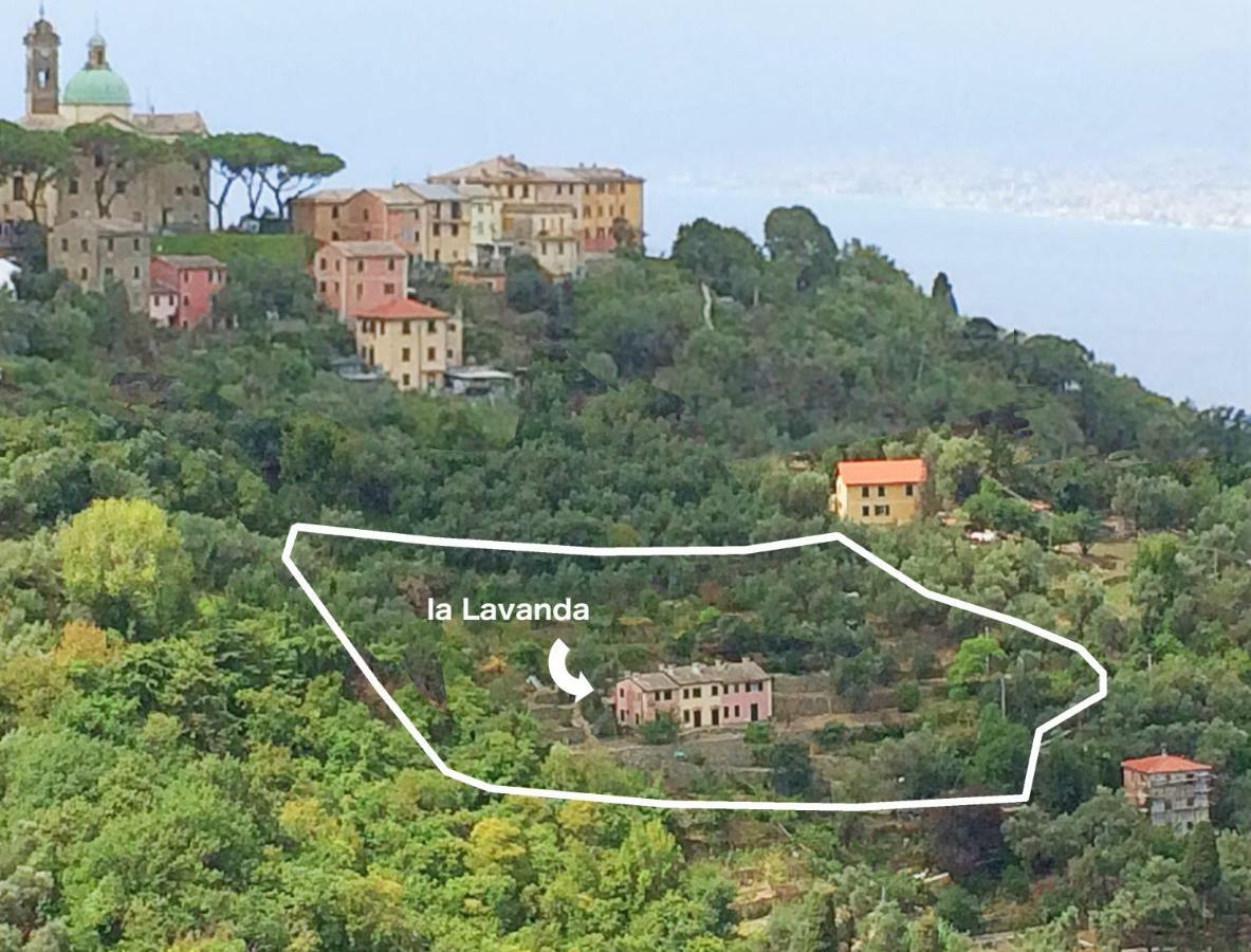 Villa Olivari - Apt La Lavanda 카모글리 외부 사진