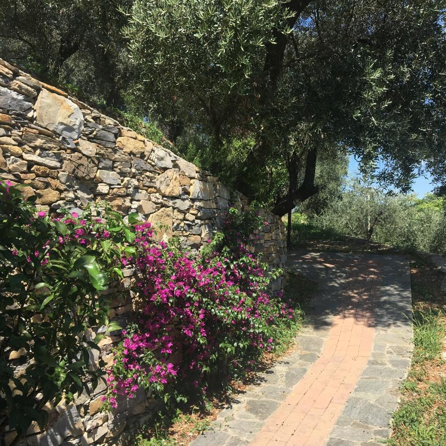 Villa Olivari - Apt La Lavanda 카모글리 외부 사진