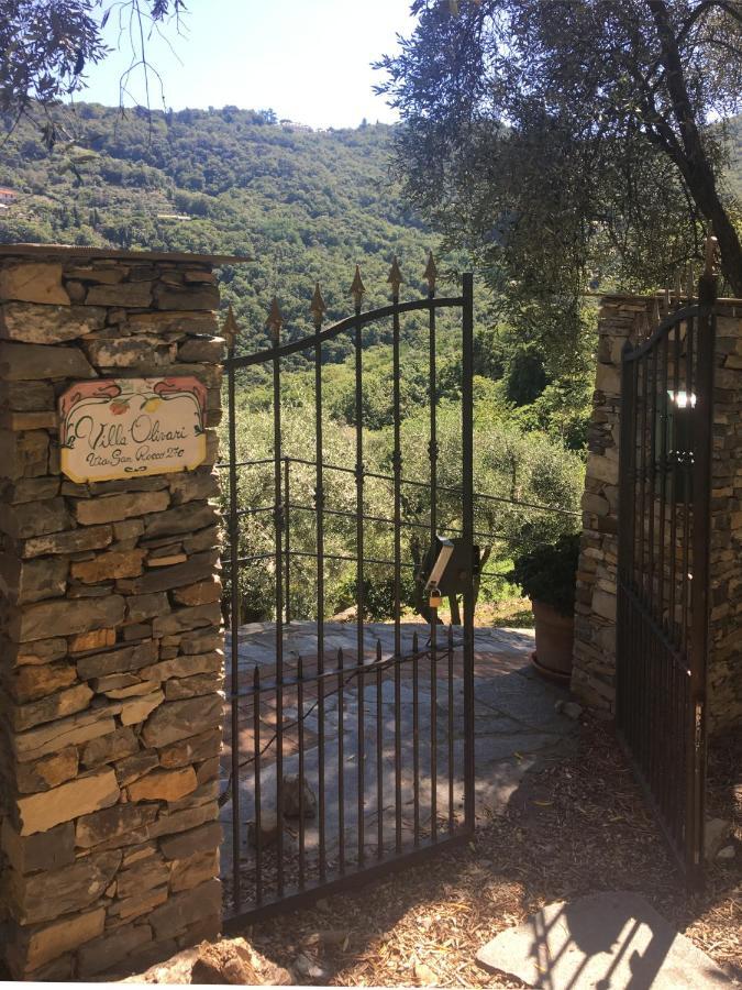 Villa Olivari - Apt La Lavanda 카모글리 외부 사진